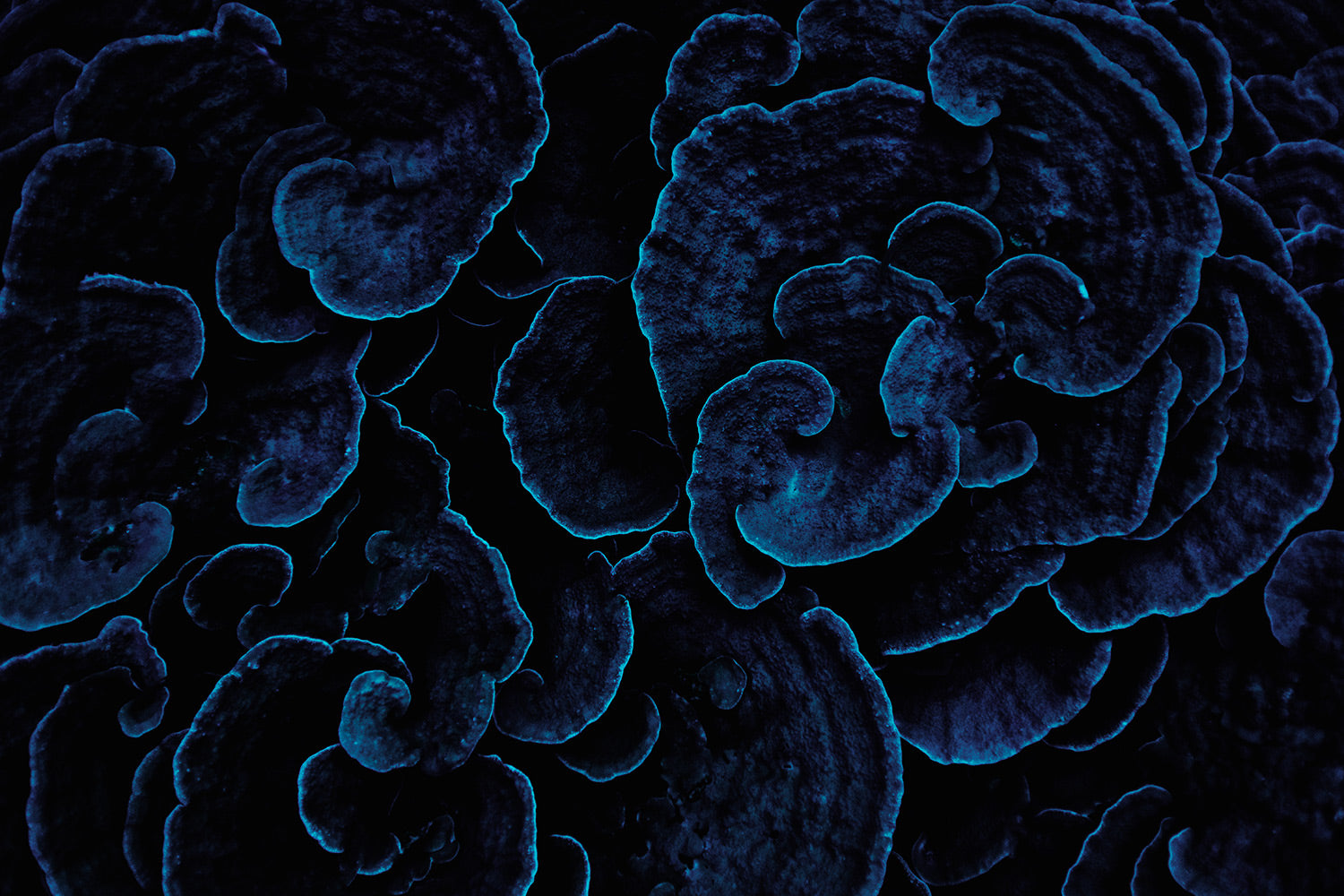 210224