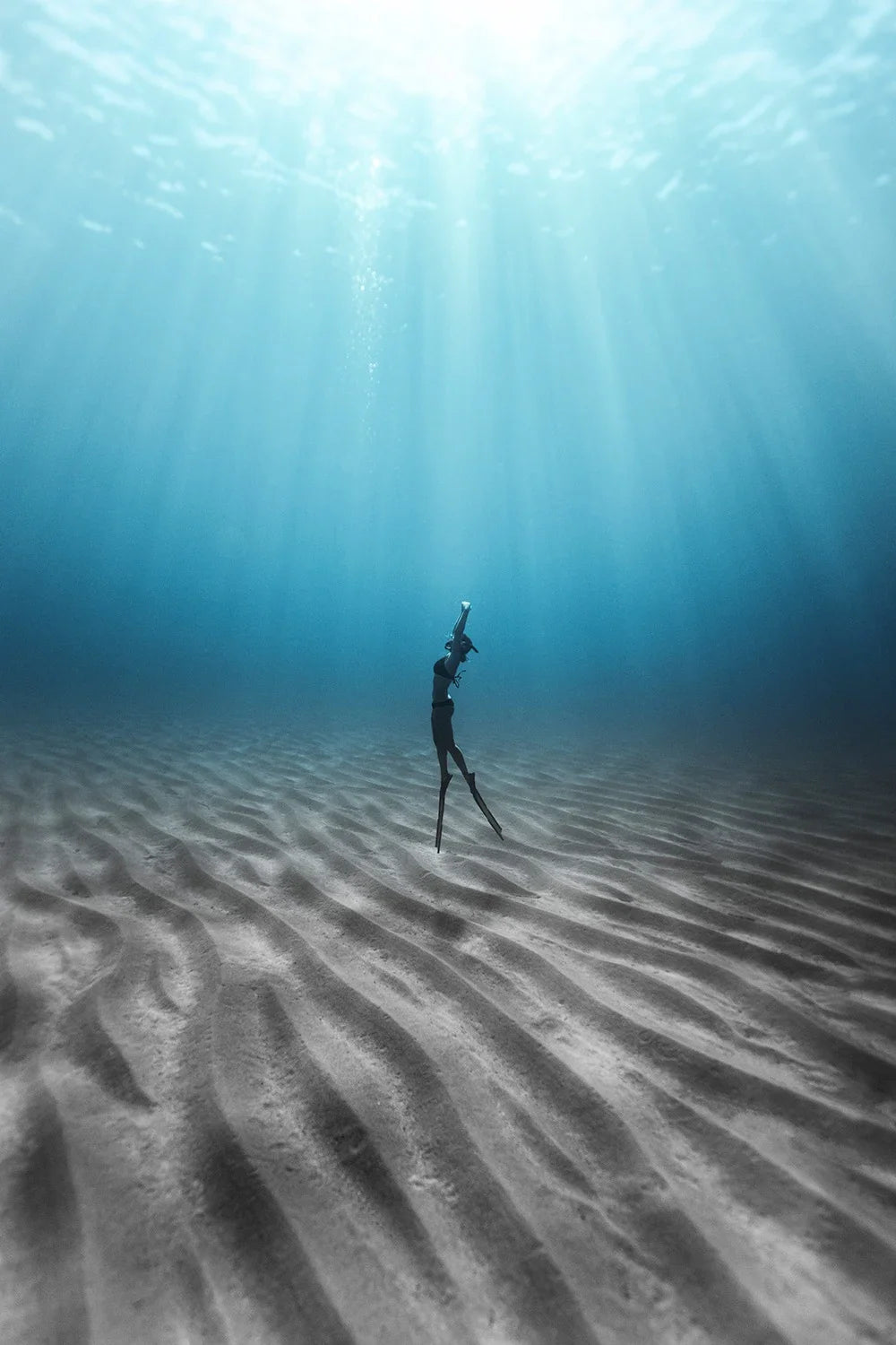 Freedive 200826