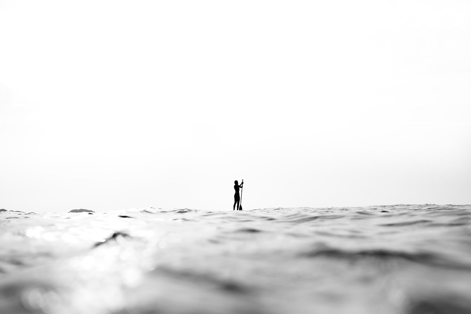 230716