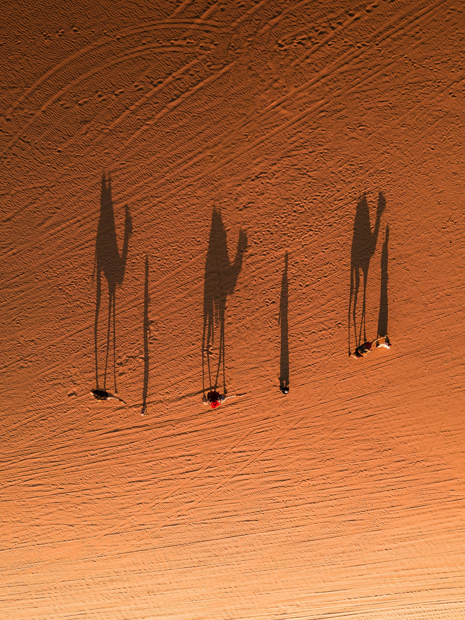 The Bedouin Caravan
