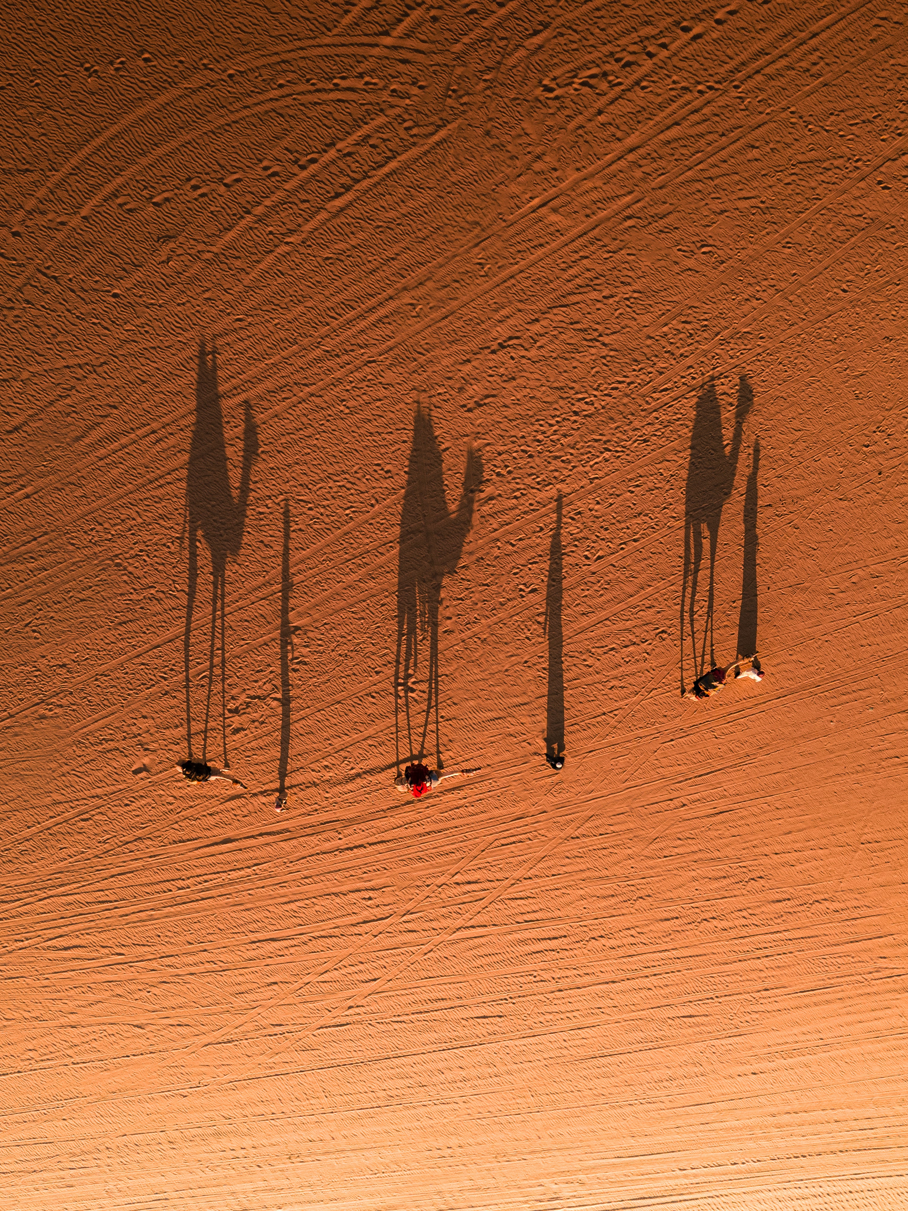 The Bedouin Caravan