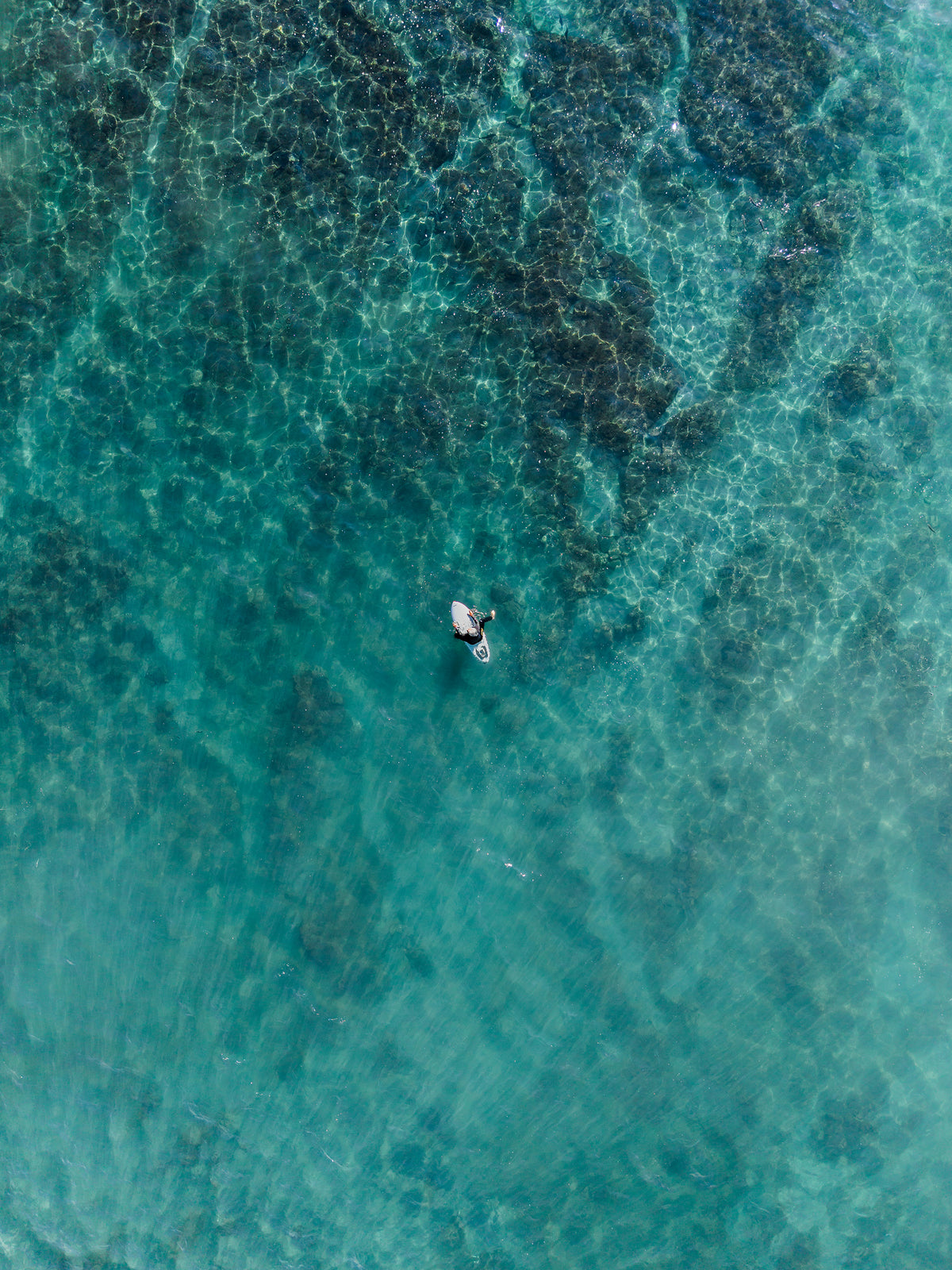The Shallows of Kamakura