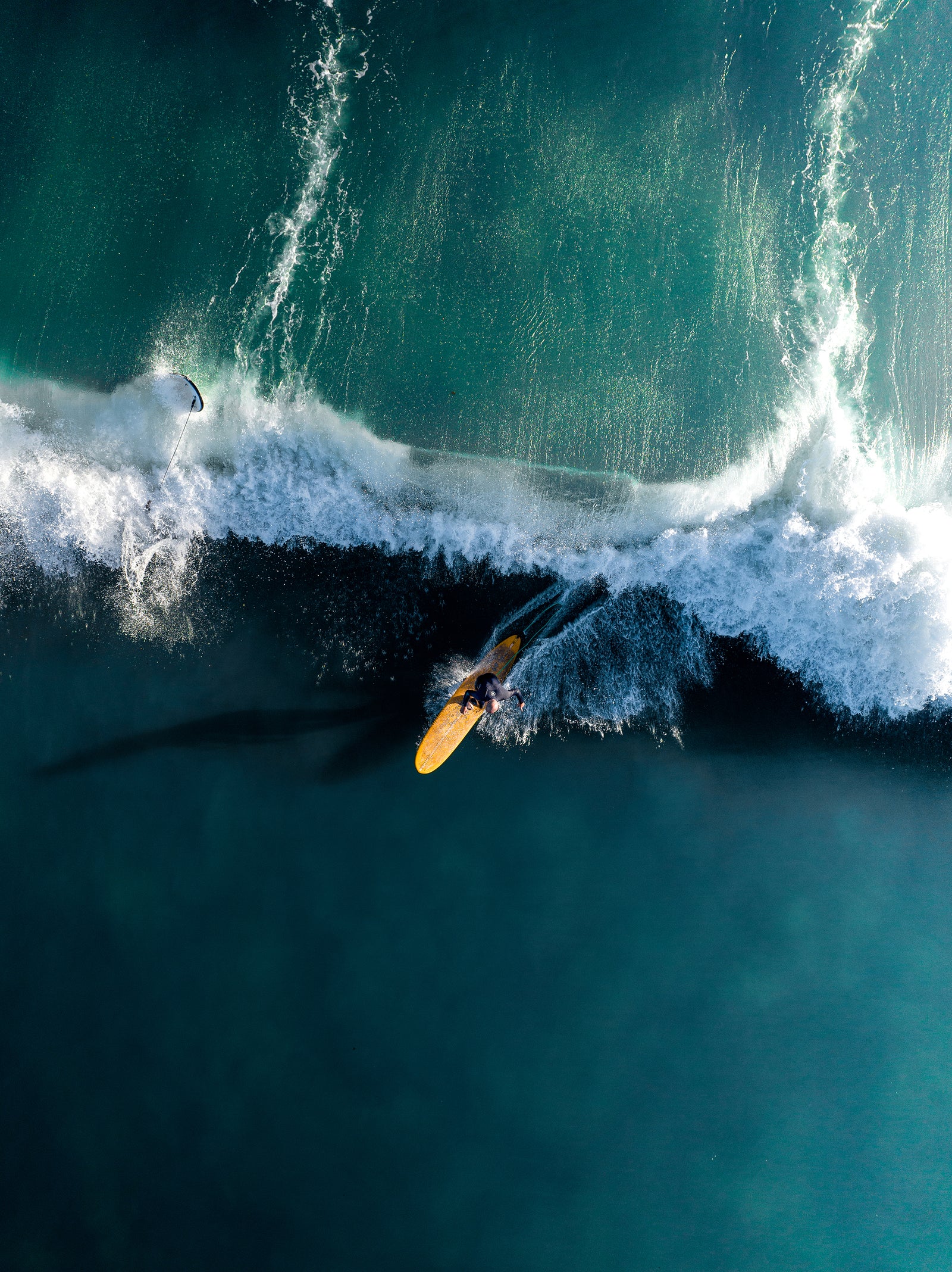 The Yellow Surfer.
